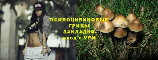 дмт Вязьма