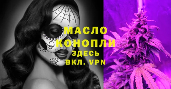 ГАЛЛЮЦИНОГЕННЫЕ ГРИБЫ Гусь-Хрустальный