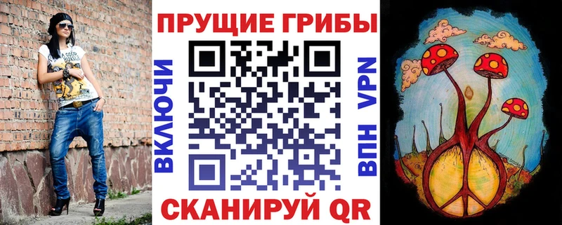 площадка формула  Дегтярск  Псилоцибиновые грибы GOLDEN TEACHER 